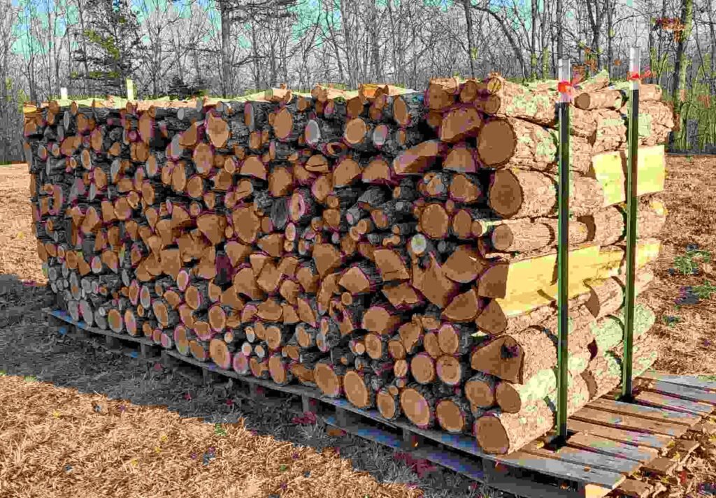 Full Cord Firewood A Complete Buyer’s Guide