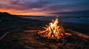 firewood for beach bonfires