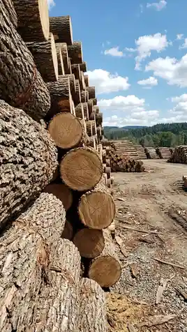 hardwood timber yard stacks