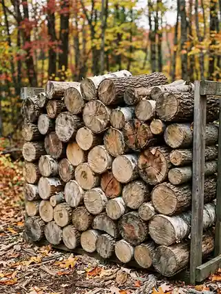 stack of seasoned firewood logs